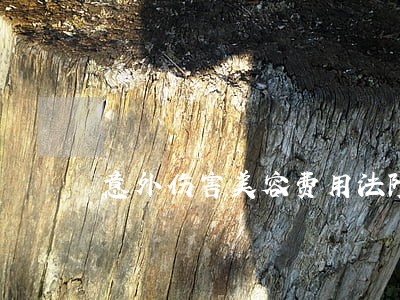 意外伤害美容费用法院支持吗