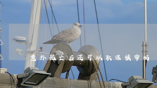 意外死亡后还可以取保候审吗 意外死亡后还可以取保候审吗