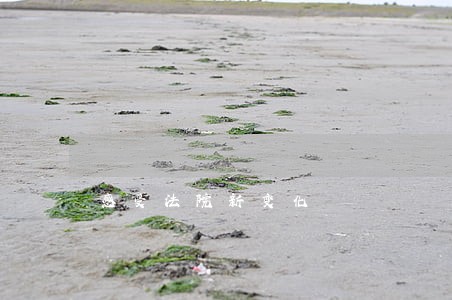 感受法院新变化 感受法院新变化