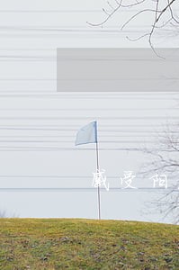 感受阳光温暖 感受阳光温暖
