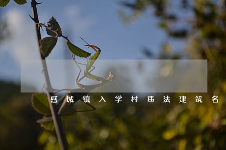感城镇入学村违法建筑名单 感城镇入学村违法建筑名单