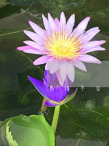 感情不合男方不离婚怎么办 感情不合男方不离婚怎么办