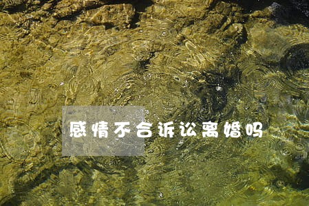 感情不合诉讼离婚吗 感情不合诉讼离婚吗