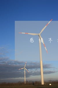 感情不好想离婚怎么办呢 感情不好想离婚怎么办呢