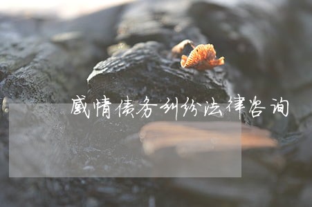 感情债务纠纷法律咨询 感情债务纠纷法律咨询
