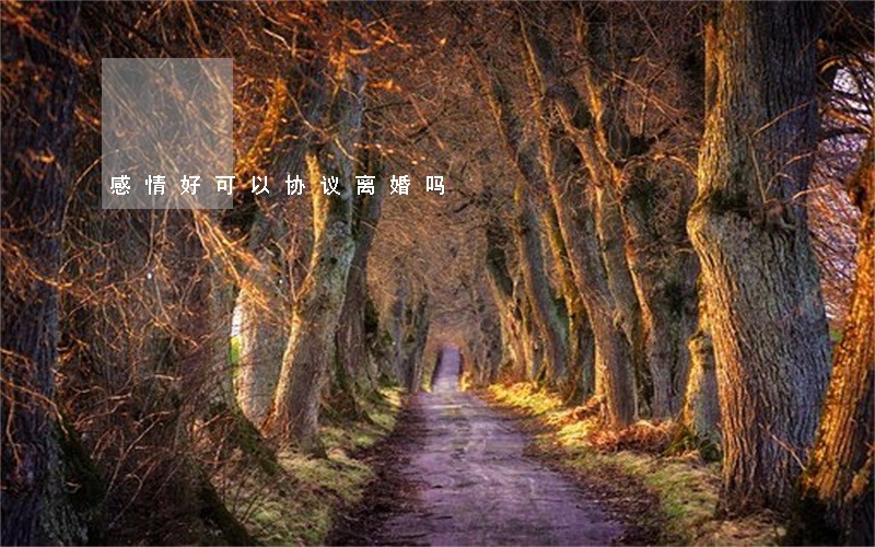 感情好可以协议离婚吗