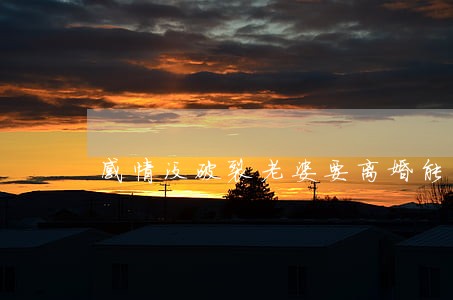 感情没破裂老婆要离婚能离吗 感情没破裂老婆要离婚能离吗