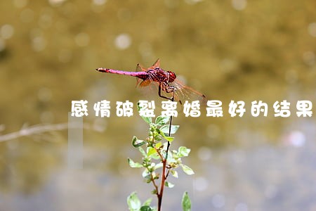 感情破裂离婚最好的结果 感情破裂离婚最好的结果