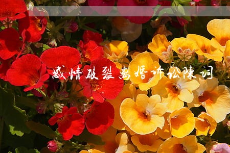 感情破裂离婚诉讼陈词 感情破裂离婚诉讼陈词