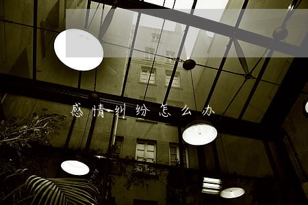 感情纠纷怎么办 感情纠纷怎么办