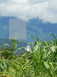 感觉不需要另一半了想离婚 感觉不需要另一半了想离婚