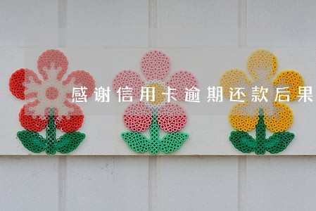 感谢信用卡逾期还款后果 感谢信用卡逾期还款后果