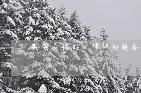 感谢各位好心律师的解答 感谢各位好心律师的解答