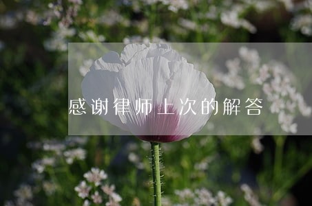 感谢律师上次的解答 感谢律师上次的解答