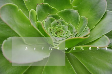 愿告方能申请法院提供律师吗 愿告方能申请法院提供律师吗