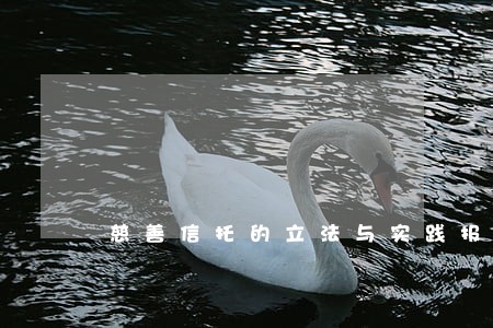 慈善信托的立法与实践报告 慈善信托的立法与实践报告