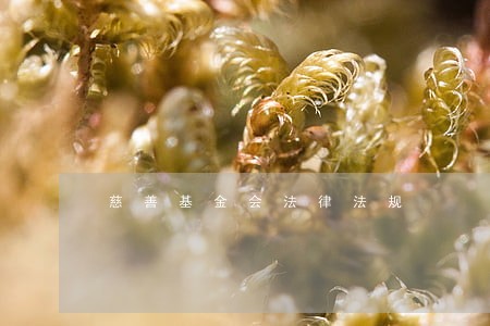 慈善基金会法律法规 慈善基金会法律法规