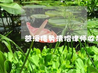 慈溪债务清偿律师收费