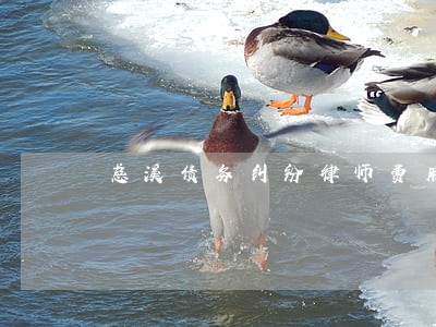 慈溪债务纠纷律师费用 慈溪债务纠纷律师费用