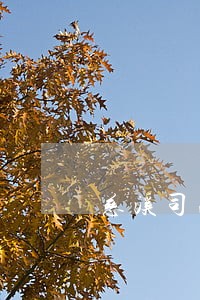 慈溪司法拍卖房产达能集团 慈溪司法拍卖房产达能集团