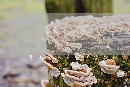 慈溪合同纠纷律师咨询 慈溪合同纠纷律师咨询