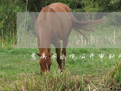 慈溪市法院公开审判网 慈溪市法院公开审判网