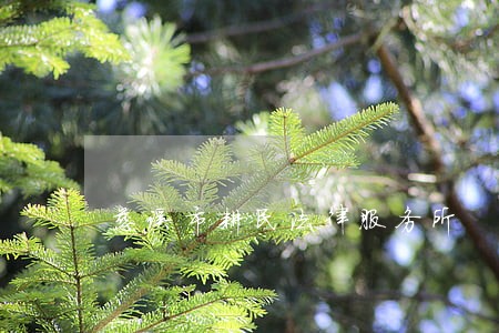 慈溪市耕民法律服务所 慈溪市耕民法律服务所
