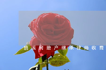 慈溪房地产继承律师收费 慈溪房地产继承律师收费