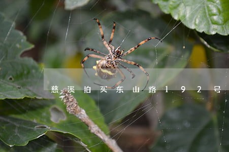 慈溪拍买东山路192号房产 慈溪拍买东山路192号房产