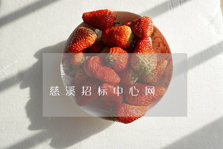 慈溪招标中心网 慈溪招标中心网