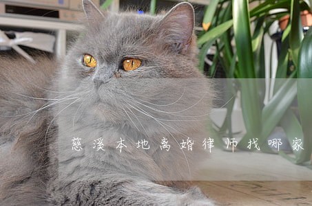 慈溪本地离婚律师找哪家 慈溪本地离婚律师找哪家