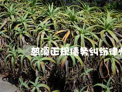 慈溪正规债务纠纷律师咨询 慈溪正规债务纠纷律师咨询