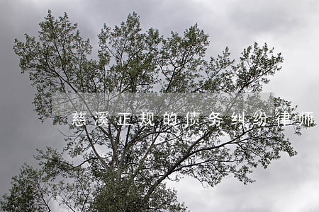 慈溪正规的债务纠纷律师咨询 慈溪正规的债务纠纷律师咨询