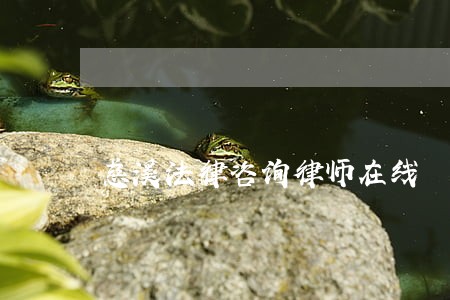 慈溪法律咨询律师在线