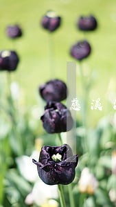 慈溪法律援助免费律师 慈溪法律援助免费律师
