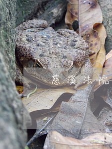 慈溪法院作息时间 慈溪法院作息时间