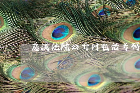 慈溪法院公开网电话号码 慈溪法院公开网电话号码