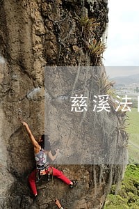 慈溪法院庭审现场直播