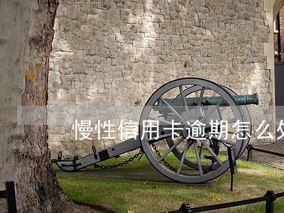 慢性信用卡逾期怎么处理