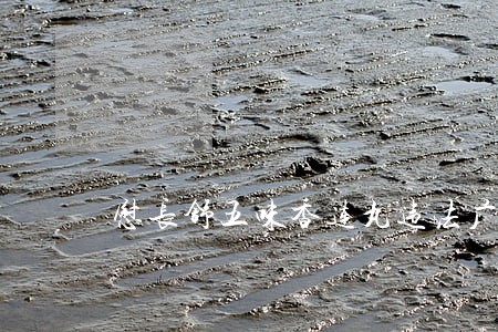 慰长舒五味香连丸违法广告遭查处 慰长舒五味香连丸违法广告遭查处