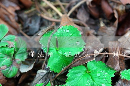 懂法帝一站式法律咨询平台 懂法帝一站式法律咨询平台