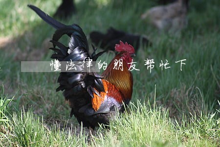 懂法律的朋友帮忙下 懂法律的朋友帮忙下