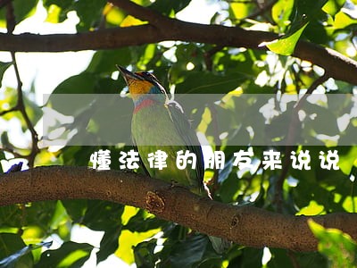 懂法律的朋友来说说 懂法律的朋友来说说