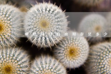 懒财网贷的逾期率是多少 懒财网贷的逾期率是多少