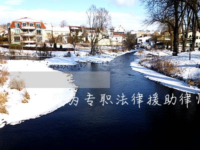 成为专职法律援助律师 成为专职法律援助律师