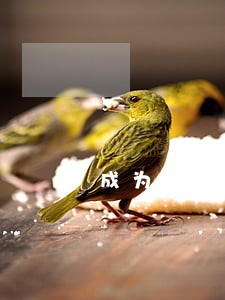成为律师看什么书 成为律师看什么书