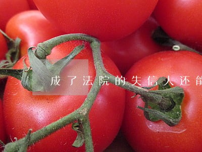 成了法院的失信人还能做火车吗 成了法院的失信人还能做火车吗