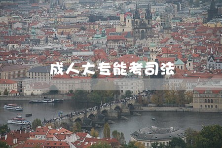 成人大专能考司法 成人大专能考司法