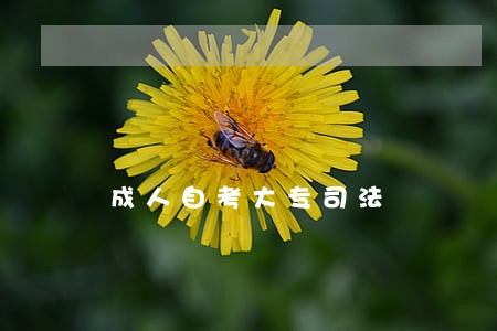 成人自考大专司法 成人自考大专司法