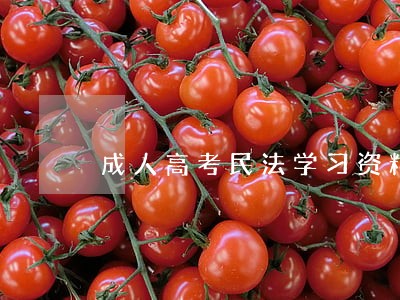 成人高考民法学习资料 成人高考民法学习资料